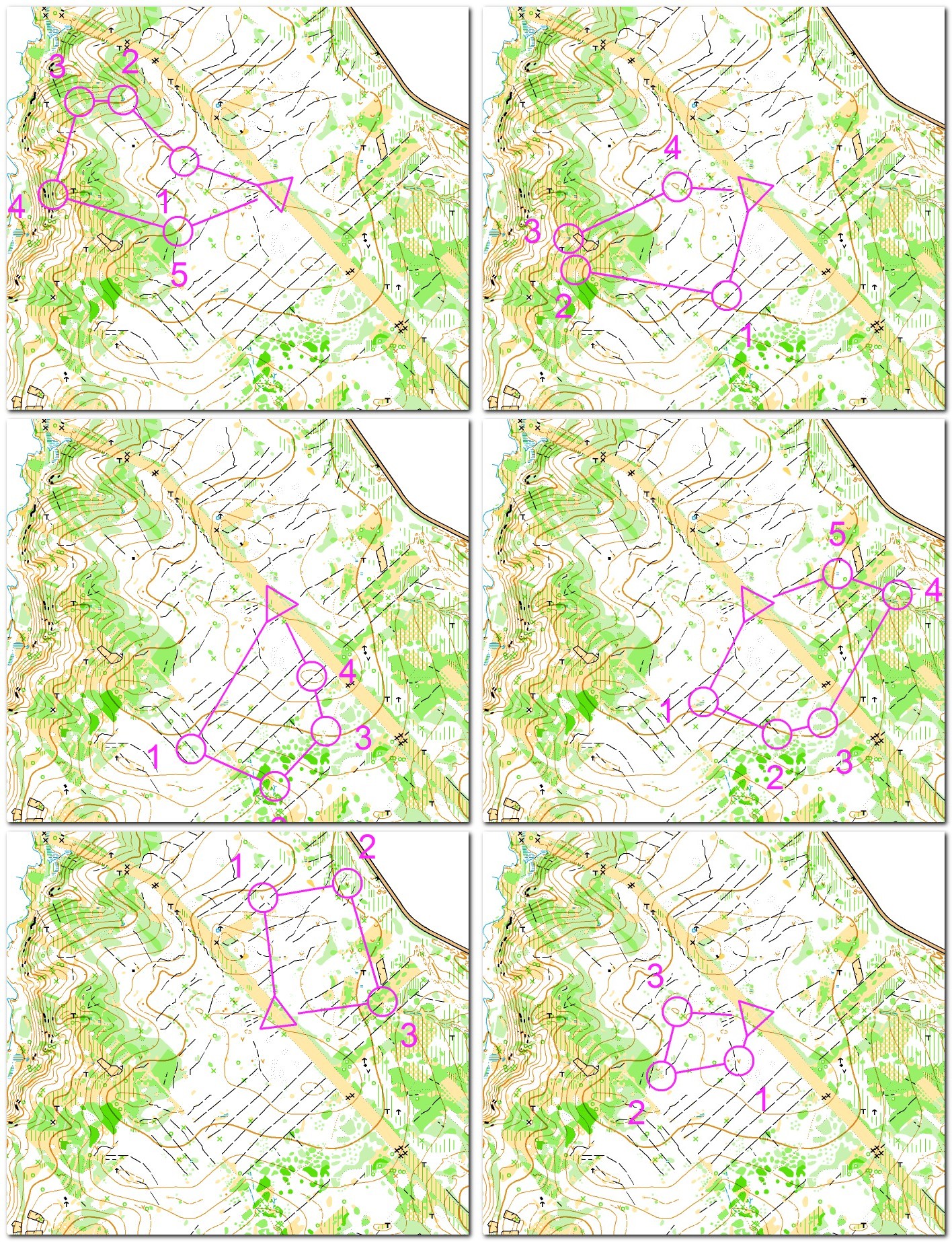 Training Ricky (11.09.2013)