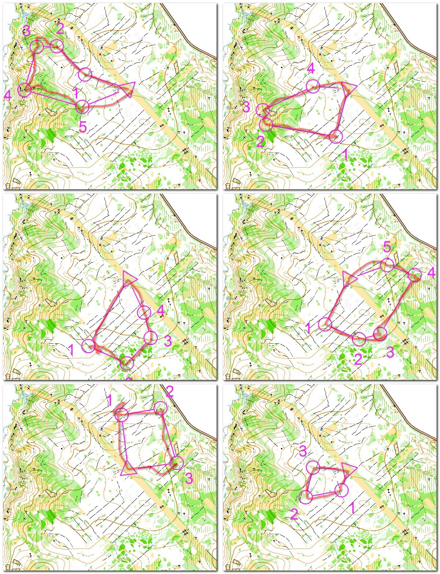 Training Ricky (11.09.2013)