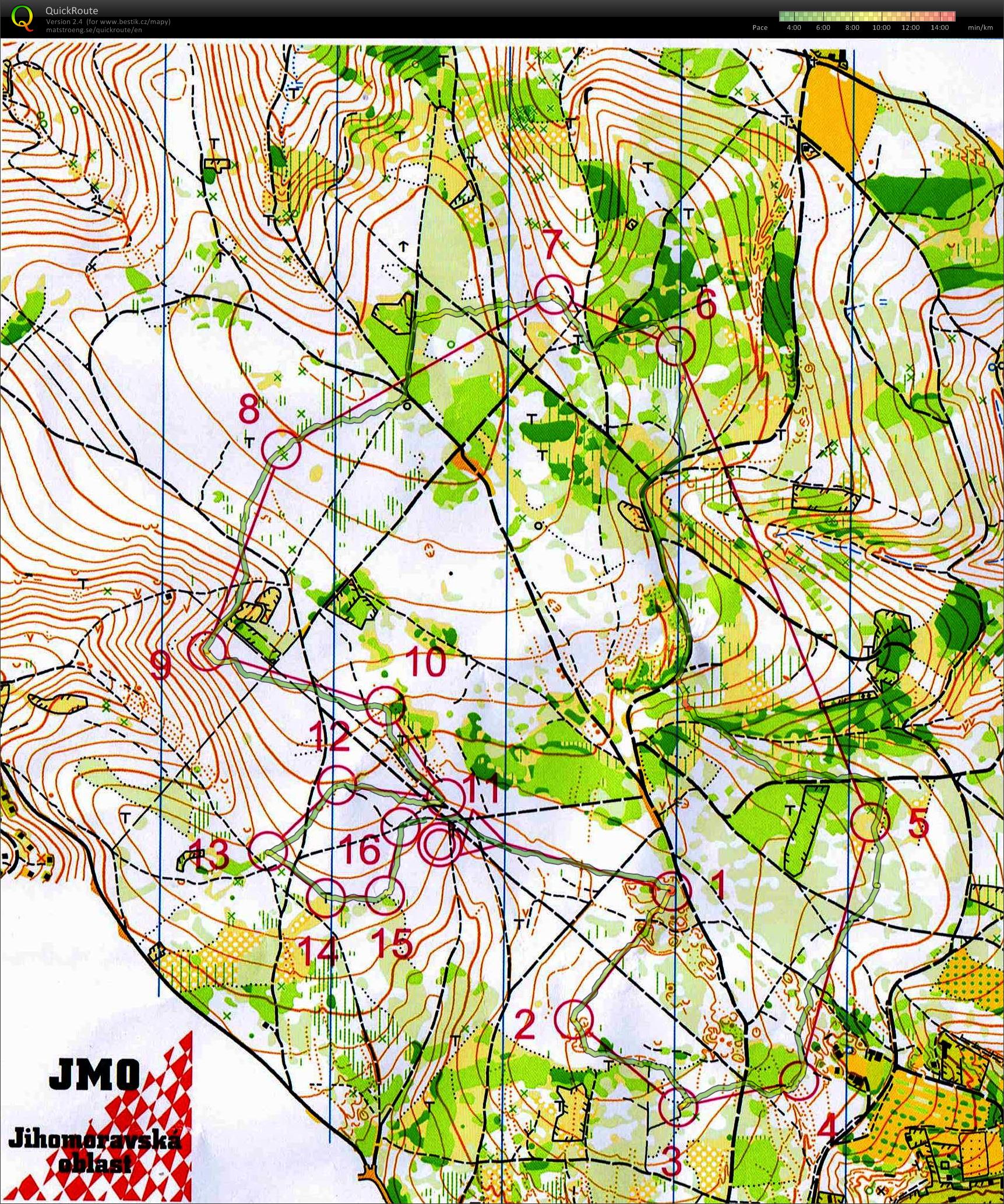 Regional Relay Champs (2015-06-12)