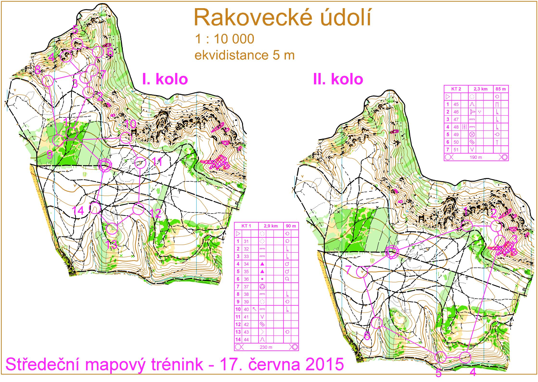 Middle training Bukovinka (17/06/2015)