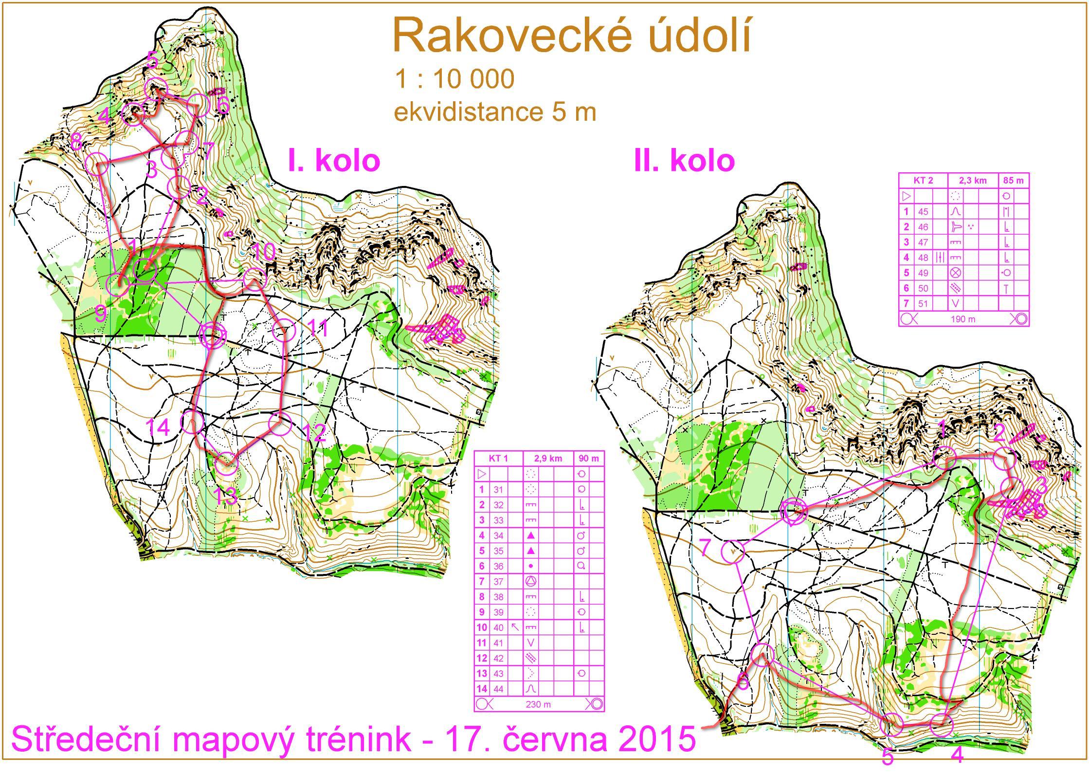 Middle training Bukovinka (17/06/2015)