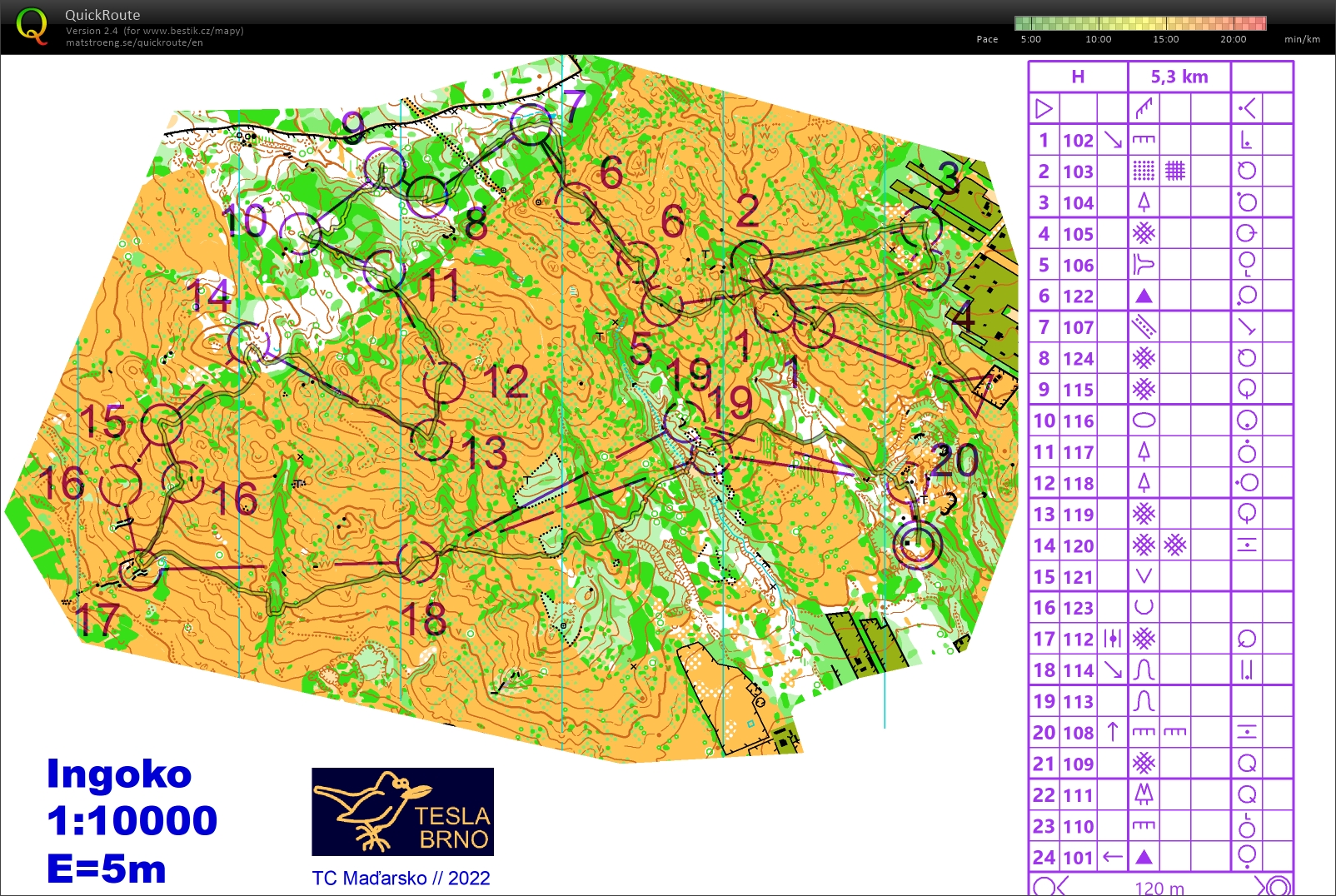 Nočák 1. úsek štafet (05/11/2022)