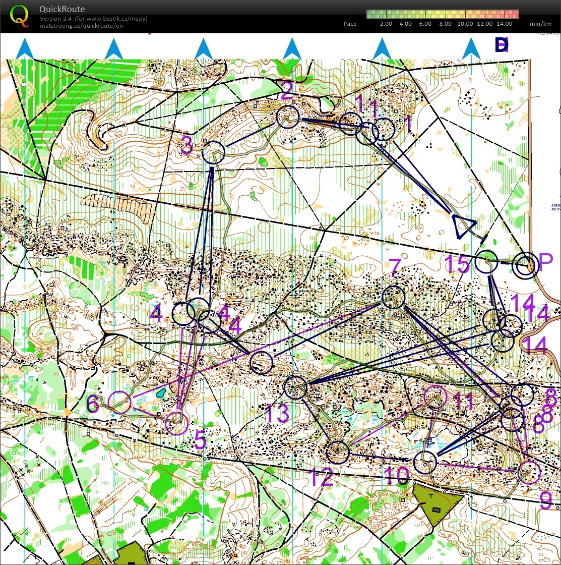 TC Fontainebleau // one-man-relay (18.03.2023)